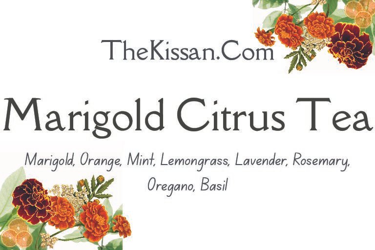 Marigold Citrus Tea