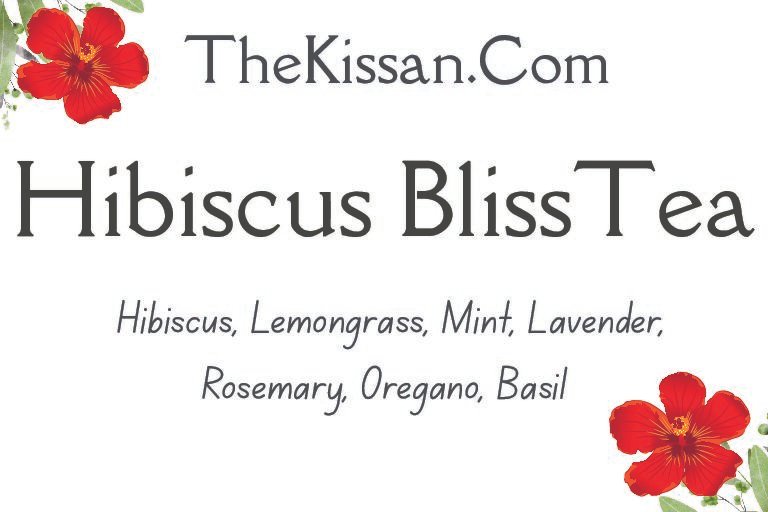 Hibiscus Bliss